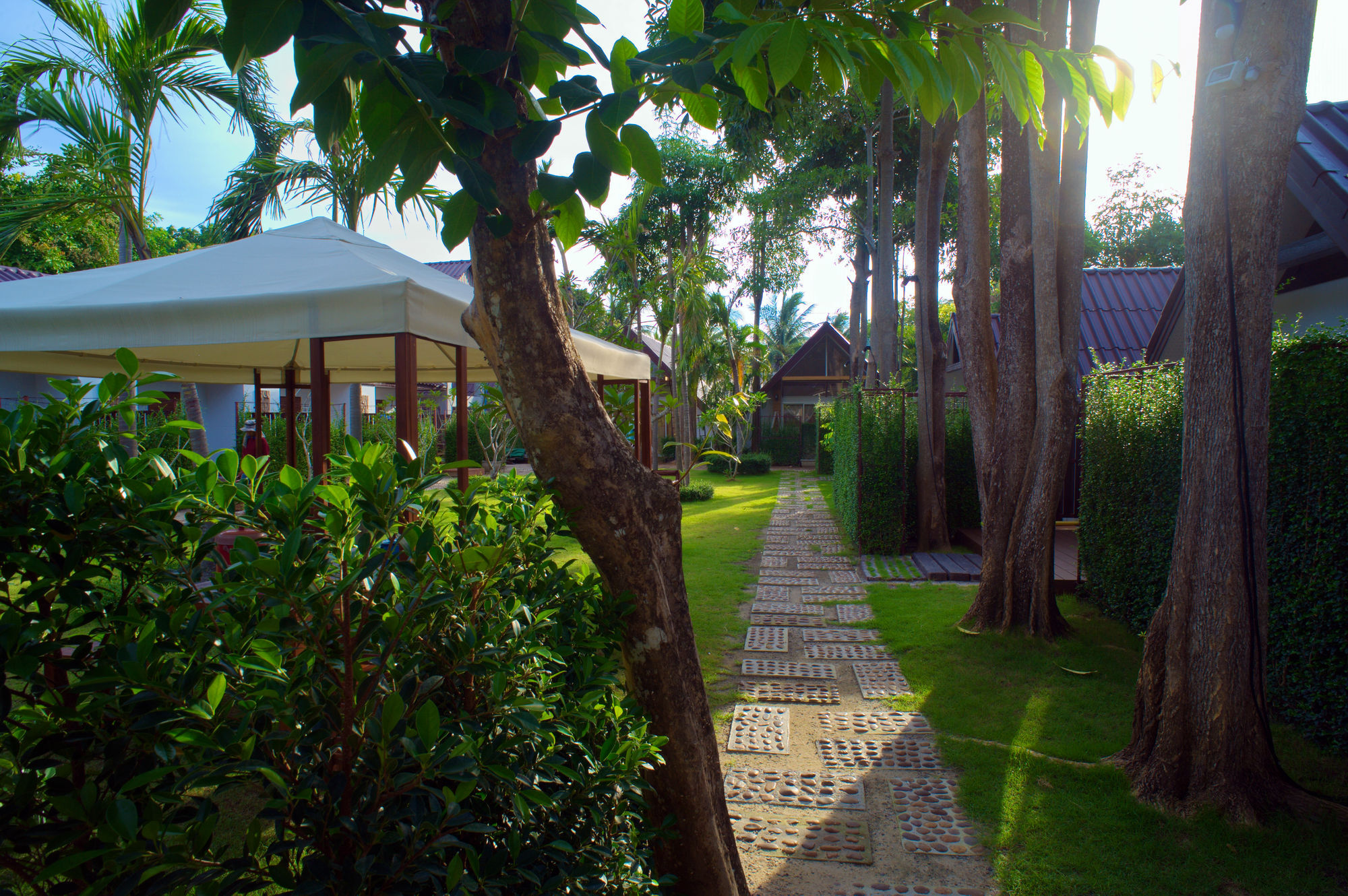 מלון ליפה נוי At Samui Haus מראה חיצוני תמונה