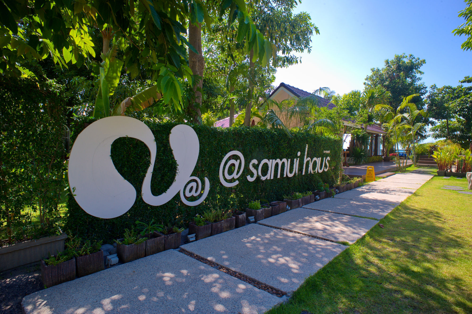 מלון ליפה נוי At Samui Haus מראה חיצוני תמונה