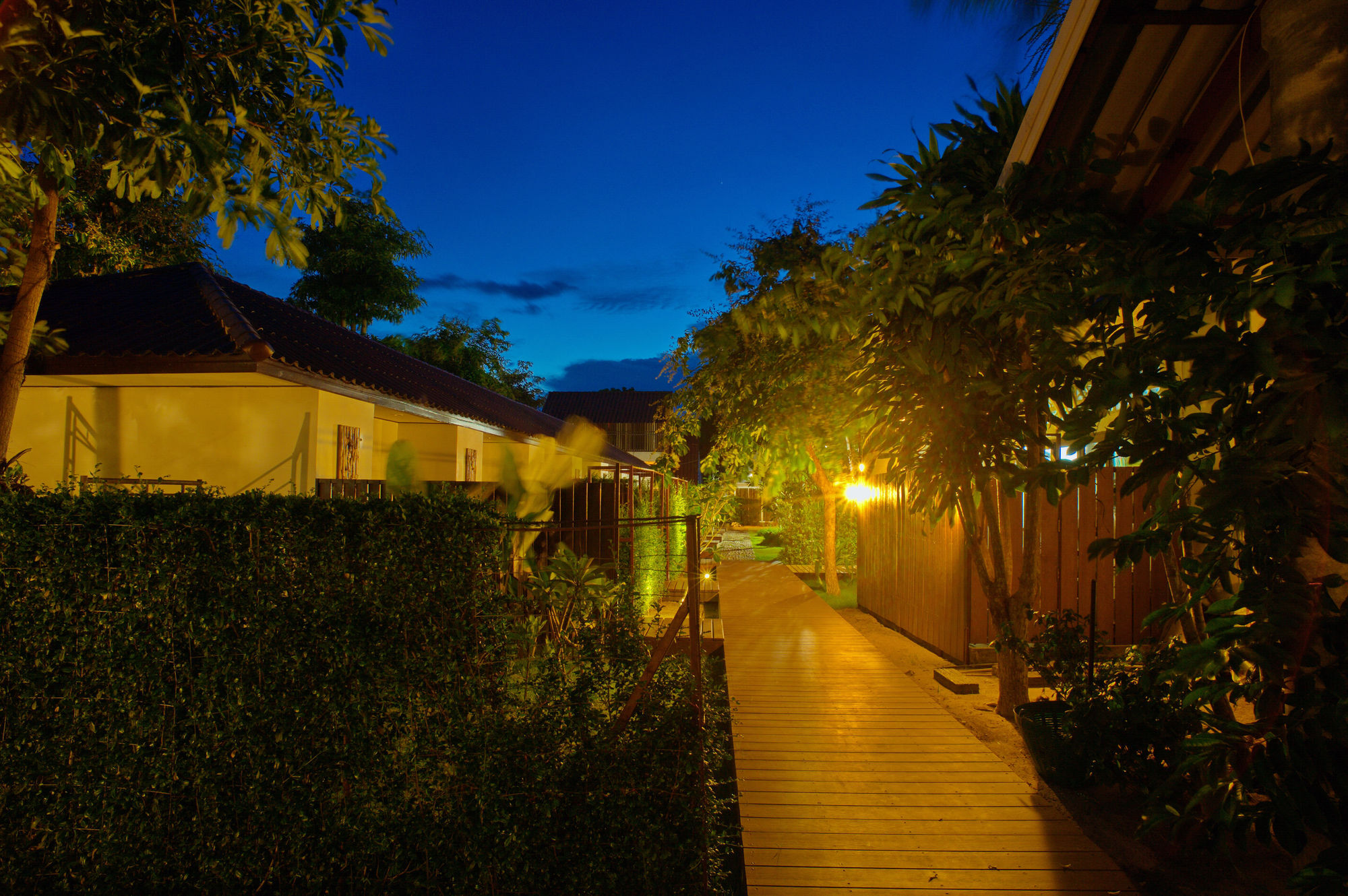 מלון ליפה נוי At Samui Haus מראה חיצוני תמונה